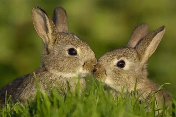 Pattern Customization